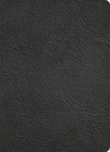 KJV Study Bible, Full-Color, Holman Handcrafted Collection, Black Premium Goatskin By Holman Bible Publishers Cover Image