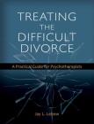 Treating the Difficult Divorce: A Practical Guide for Psychotherapists By Jay L. LeBow Cover Image