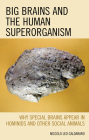 Big Brains and the Human Superorganism: Why Special Brains Appear in Hominids and Other Social Animals By Niccolo Leo Caldararo Cover Image