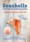 Seashells of New England: A Beachcomber's Guide By J. Duane Sept, David Scheirer (Drawings by), Sandy Allison Cover Image