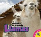 Llamas, With Code = Llamas, with Code (Animales en la Granja) By Linda Aspen-Baxter, Heather Kissock Cover Image