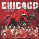 2022 Calendar: Chicago Bulls Calendar 2022 18-month from Jul 2021 to Dec 2022 in mini size 8.5x8.5 inch By Calliope Linda Cover Image