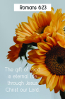 The Gift of God Bulletin (Pkg 100) General Worship By Broadman Church Supplies Staff (Contribution by) Cover Image