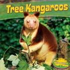 Tree Kangaroos (Up a Tree) By Willow Clark Cover Image
