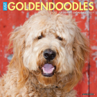 Just Goldendoodles 2021 Wall Calendar (Dog Breed Calendar) Cover Image