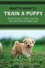 What To Know To Train A Puppy: Details In How To Train Your Dog, Tips And Tricks For Quick Learn: How To Stop Your Puppy From Biting Things By Lynwood Swonger Cover Image