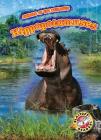 Hippopotamuses By Rachel Grack Cover Image