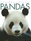 Pandas (Amazing Animals) By Valerie Bodden Cover Image