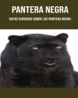 Pantera negra: Datos curiosos sobre los Pantera negra By Lucy Maisto Cover Image