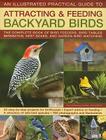 Backyard Birds III: Practical Guide to Attracting and Feeding By Jen Green Cover Image