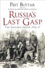 Russia's Last Gasp: The Eastern Front 1916–17 Cover Image