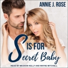 S Is for Secret Baby By Meghan Kelly (Read by), Wayne Mitchell (Read by), Annie J. Rose Cover Image