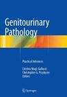 Genitourinary Pathology: Practical Advances By Cristina Magi-Galluzzi (Editor), Christopher G. Przybycin (Editor) Cover Image