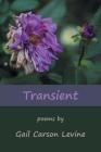 Transient By Gail Carson Levine Cover Image