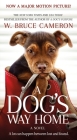 A Dog's Way Home Movie Tie-In: A Novel (A Dog's Way Home Novel #1) Cover Image