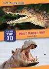 Most Dangerous By Joanne Mattern Cover Image