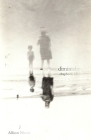 Diminishing: Chapbook Edition By Allison Nicole Cover Image