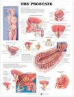 The Prostate Anatomical Chart Cover Image