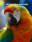 Incredible Macaws Full-Color Picture Book: Tropical Birds Photography Book - Bird Picture Book for Children, Seniors and Alzheimer's Patients -Nature By Faith Book Press Cover Image