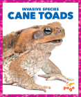 Cane Toads (Invasive Species) By Alicia Z. Klepeis Cover Image
