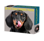 Dachshunds 2023 Box Calendar By Willow Creek Press Cover Image