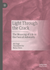 Light Through the Crack: The Meaning of Life in the Face of Adversity By Avi Sagi, Batya Stein (Translator) Cover Image