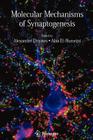 Molecular Mechanisms of Synaptogenesis By Alexander Dityatev (Editor), Alaa El-Husseini (Editor) Cover Image