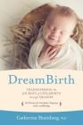 DreamBirth: Transforming the Journey of Childbirth Through Imagery By Ph.D. Shainberg, Catherine Cover Image
