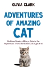 Adventures of Amazing Cat: Bedtime Stories of Brave Cats in the Mysterious World for Little Kids Cover Image