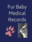 Fur Baby Medical Records: An Up To Date Record of Your Cats Health By Monna L. Ellithorpe Cover Image
