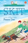 Skit Cover Image