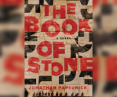 The Book of Stone By Jonathan Papernick, Adam Verner (Narrated by) Cover Image