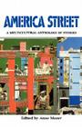 America Street: A Multicultural Anthology of Stories By Anne Mazer (Editor) Cover Image