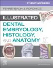 Student Workbook for Illustrated Dental Embryology, Histology and Anatomy By Margaret J. Fehrenbach Cover Image