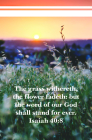 The Word of Our God  Bulletin (Pkg 100) General Worship By Broadman Church Supplies Staff (Contributions by) Cover Image