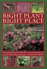 Right Plant Right Place: Choosing the Perfect Plant for Every Location in Your Garden, with 120 Photographs By Jackie Matthews Cover Image