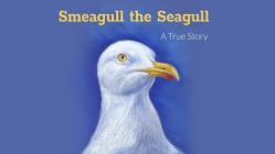 Smeagull the Seagull, A True Story By Mark Seth Lender, Valerie Elaine Pettis (Illustrator) Cover Image