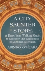 A City Saunter Story: A Three Year Walking Quest to Discover the Wholeness of Lansing, Michigan By Ariniko D. O'Meara Cover Image