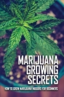 Marijuana Growing Secrets: How To Grow Marijuana Indoors For Beginners: Grow Marijuana Book By Michal Desutter Cover Image