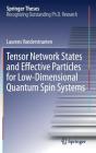 Tensor Network States and Effective Particles for Low-Dimensional Quantum Spin Systems (Springer Theses) Cover Image