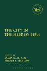 The City in the Hebrew Bible: Critical, Literary and Exegetical Approaches (Library of Hebrew Bible/Old Testament Studies #672) Cover Image