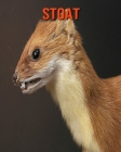Stoat: Amazing Facts about Stoat Cover Image