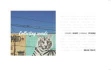 Collecting Words: Short Visual Stories By Brian Fouhy Cover Image