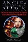 Angle of Attack By David Mallach Cover Image