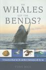 Do Whales Get the Bends?: Answers to 118 Fascinating Questions about the Sea By Tony Rice Cover Image