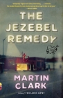 The Jezebel Remedy (Vintage Contemporaries) Cover Image