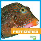 Pufferfish (Life Under the Sea) By Mari C. Schuh Cover Image