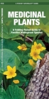 Medicinal Plants: An Introduction to Familiar North American Species (Pocket Naturalist Guides) By James Kavanagh, Raymond Leung (Illustrator) Cover Image