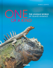 One of a Kind: The Unique World of Island Animals By Mario Ludwig Cover Image