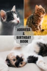 Address & Birthday Book: Large Print - Cat Cover - Address Book for Names, Addresses, Phone Numbers, E-mails and Birthdays Cover Image